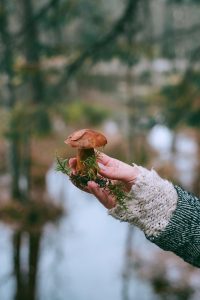 Mushroom being held 