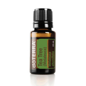 Tea Tree Essential Oil