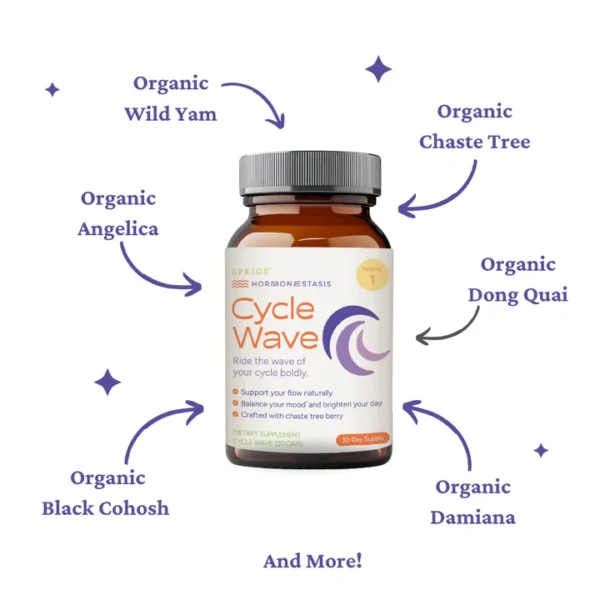 Cycle Wave Phase 1